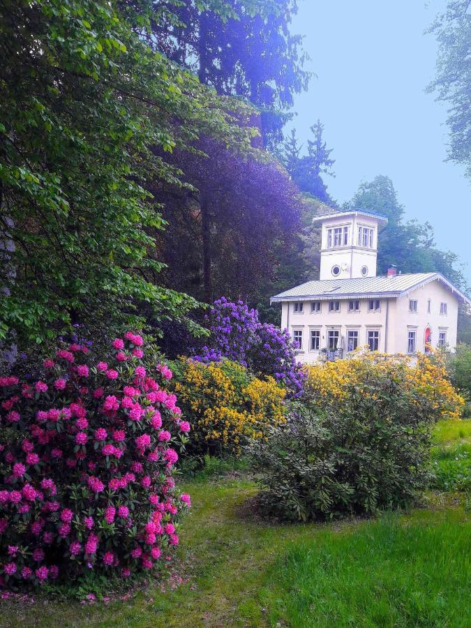 Rapunzel Trifft Dornroeschen Rosenthal-Bielatal Exterior foto